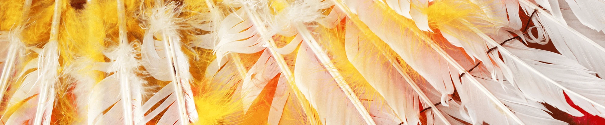 A feather on sequence. A feather on sequence.