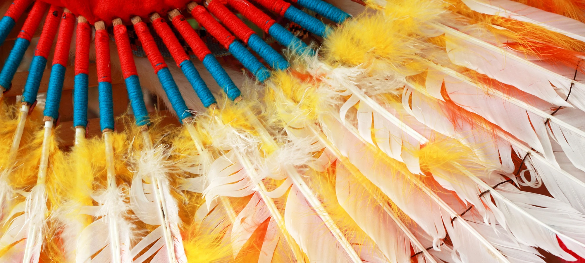 A colorful feather. A colorful feather.